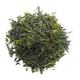 Sencha Organisch (Bio)